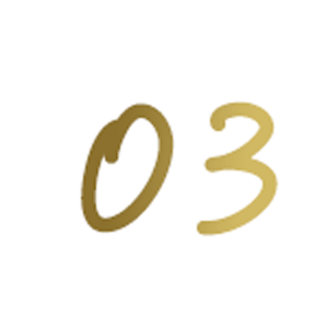 03